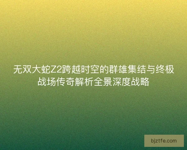 无双大蛇Z2跨越时空的群雄集结与终极战场传奇解析全景深度战略