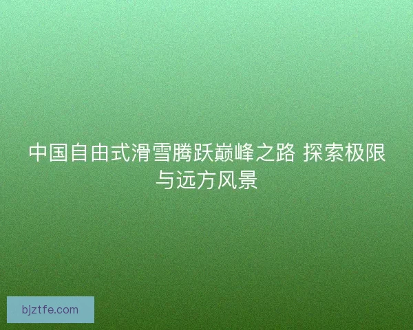 中国自由式滑雪腾跃巅峰之路 探索极限与远方风景